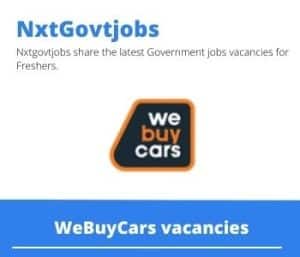 WeBuyCars Used Vehicle Buyer Vacancies in Kathu- Deadline 28 Jul 2023